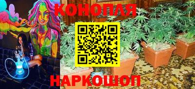 ешки Кинель